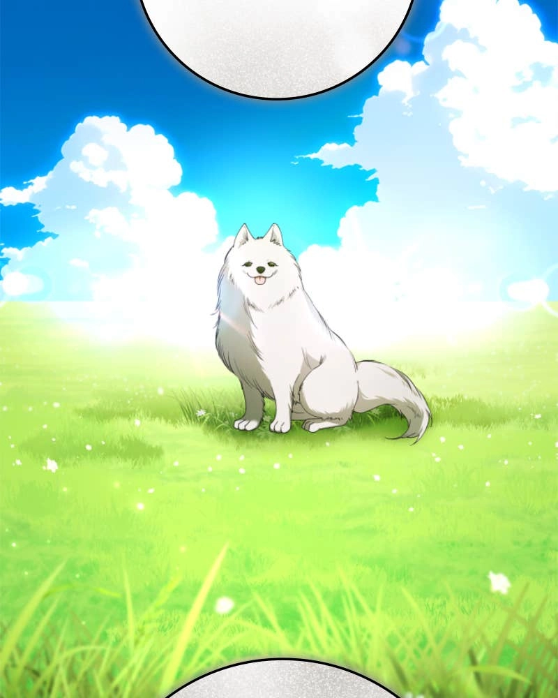 Your Throne Chapter 233 - Killing One Dog (Final) Page 11