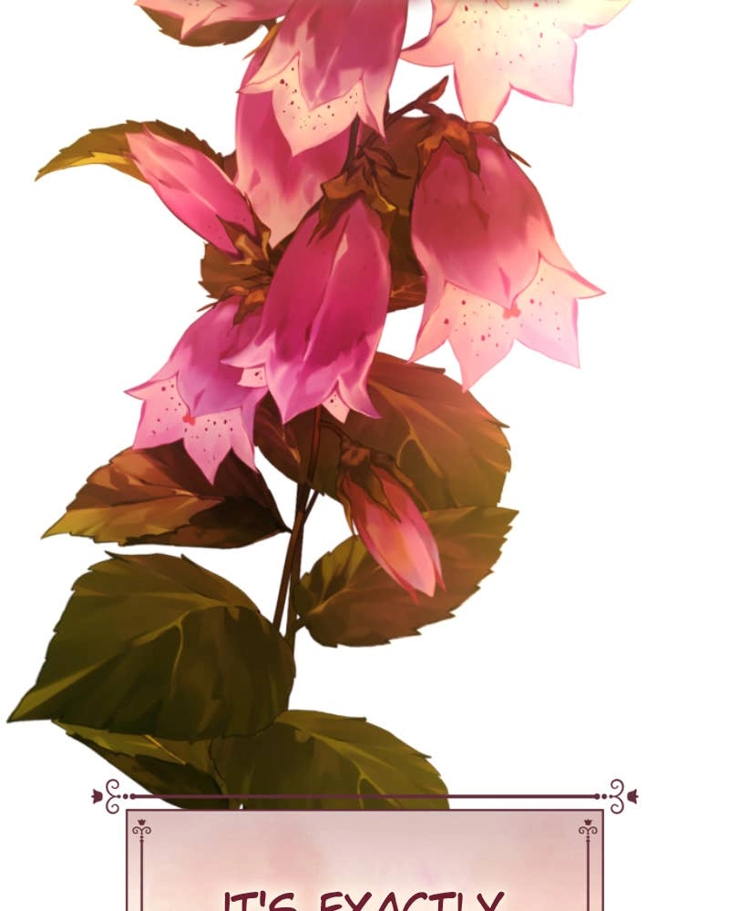 Your Throne Chapter 240 - Middlegame Page 91